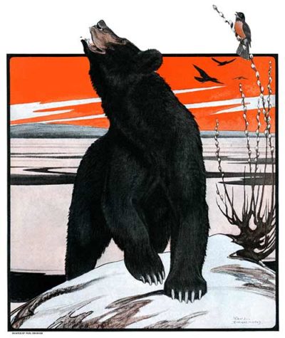 Bear and Robin Welcome Spring By Paul Bransom From March 14, 1925
