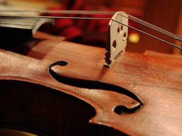 Violin