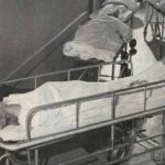 Doctor and nurse carrying a bed-ridden patient.