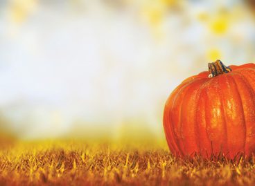 Pumpkin