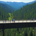 Bike riders on a bridge