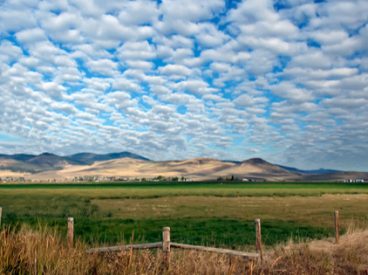 A green field in Montana with mountains on the horizon.