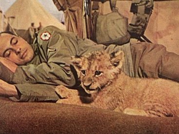 U.S. WWII soldier sleeps next to a tiger cub.