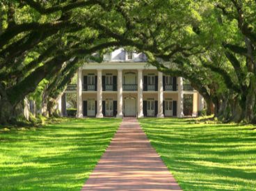 House at the end of a tree-lined path.