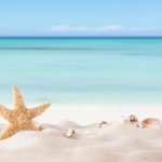 A sandy beach with seashells