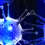 3-D computer models of the flu virus