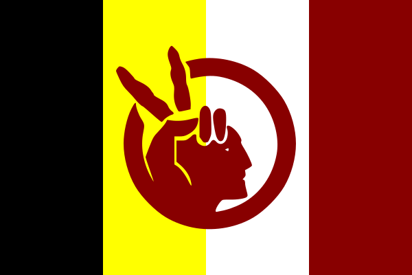 A flag depicting a human hand showing the peace sign.