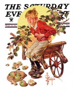 Boy with upset stomach; too many green apples