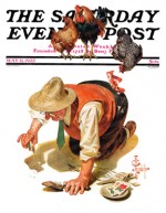 Hens watching gardner plant seeds