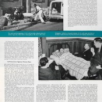 AA-story-3
