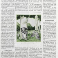 AA-story-5