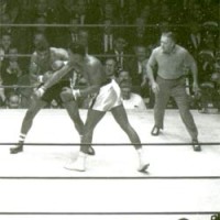 Ali-shot-10