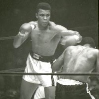 Ali-shot-2