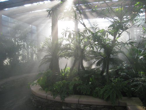 Wikimedia Commons