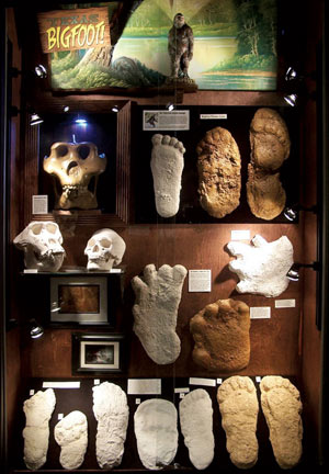 Museum of the Weird