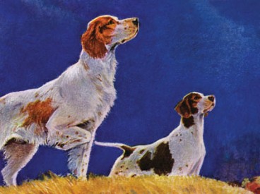 Pointing to the Pheasant by Paul Bransom