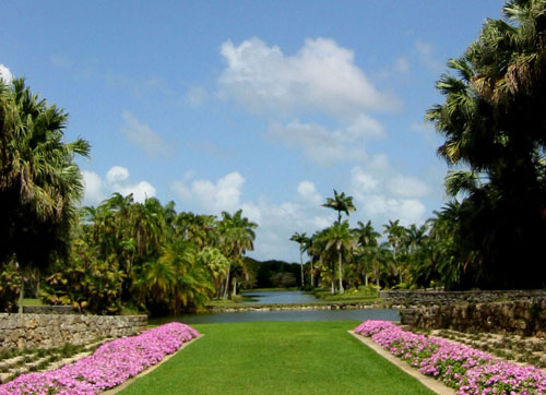 Courtesy Fairchild Botanical Gardens