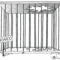 Kangaroo_exc