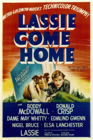 Movie poster for the film Lassie Come Home.