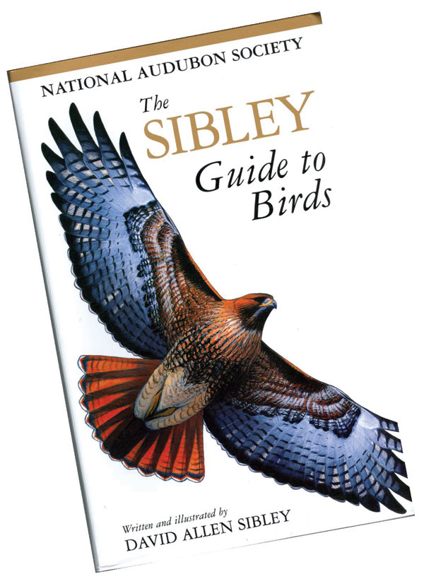 The Sibley Guide to Birds