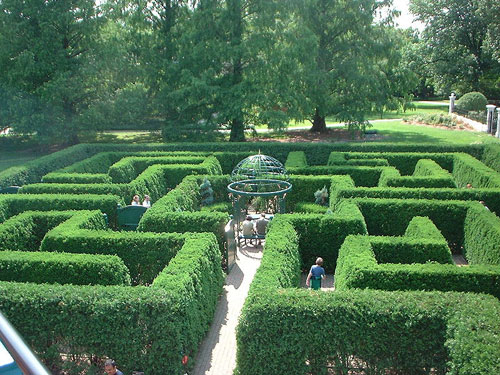 Missouri Botanical Gardens - Hedge Maze (Wikimedia Commons)