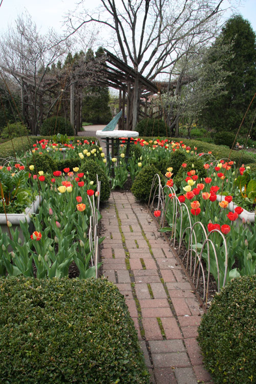 Photo by Sharon Cybart/Courtesy Olbrich Botanical Gardens