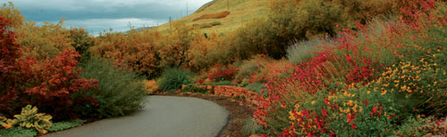 Courtesy Red Butte Gardens