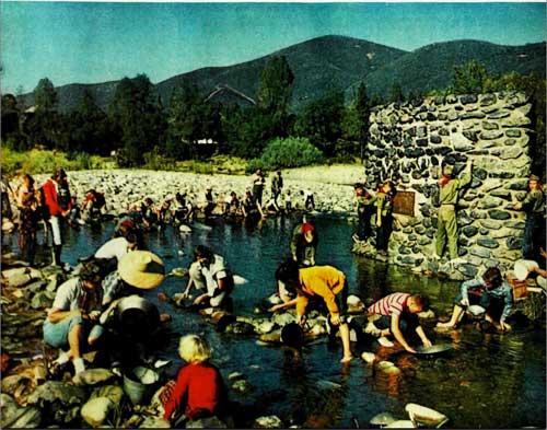 This photo from a 1958 issue of The Saturday Evening Post shows people searching for gold in Sutter's Mill, the site of the first discovery.