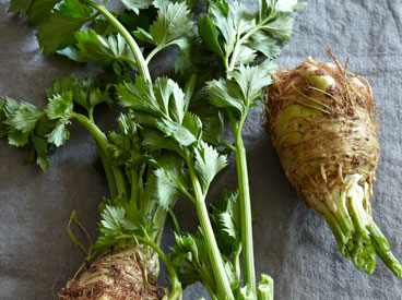 Celery Roots