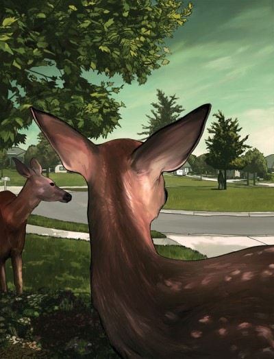 SEP_BonnieOaks_Full_HiRes Illustration by Owen Freeman