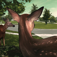 SEP_BonnieOaks_th