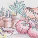 Illustration by Karen Donley-Hayes