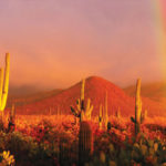 Travel Arizona