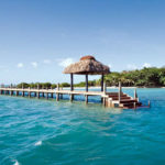 Dolphin Island, Fiji