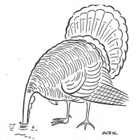 from November 28, 1942