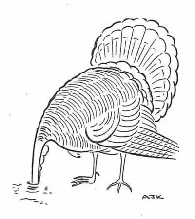 Turkey-Ostrich from November 28, 1942