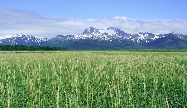 Alaska, Photo by Alan Vernon.