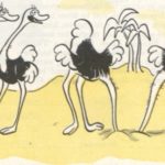 Ostrich