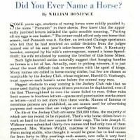 "Did You Ever Name a Horse?"
