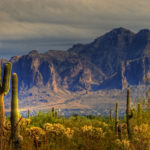 Arizona