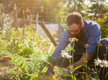 Man planting in a garden.