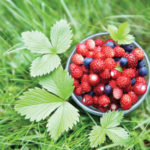 Berries