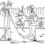 cartoon