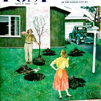 George Hughes "Put the Tree There?" 1955