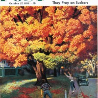Tossing the Footballby John FalterOctober 27, 1956