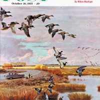 South for the Winterby John ClymerOctober 26, 1957