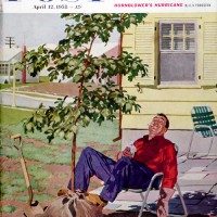 Shade Tree Shade TreeRichard SargentApril 12, 1958