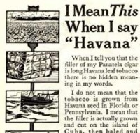 Shivers’ Panatela Cigars, 1910 Shivers’ Panatela Cigars, 1910