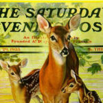 doeandfawns-slider-feature