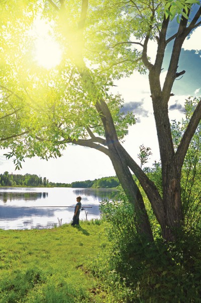 DreamsTime